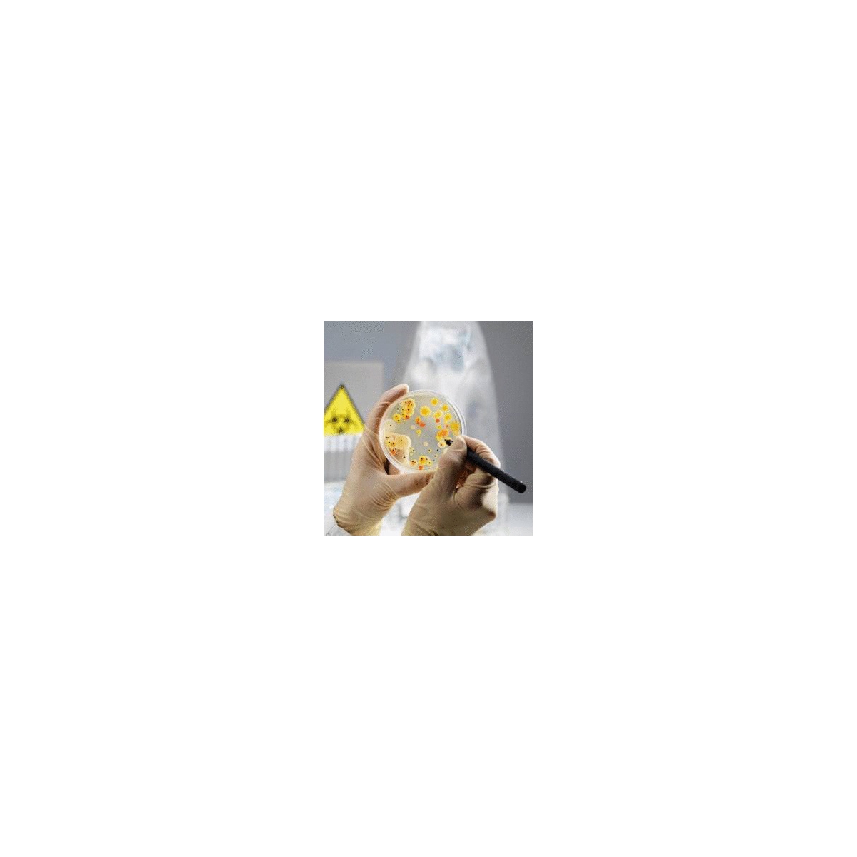 《食品微生物检验标准菌株图鉴》首版发行