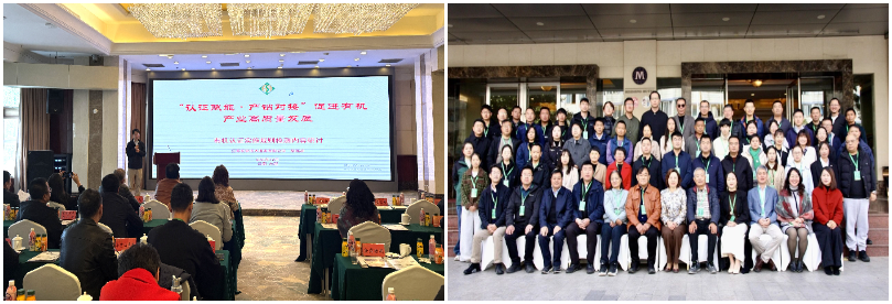 1-251216140044451.png 1-251216140044451.png